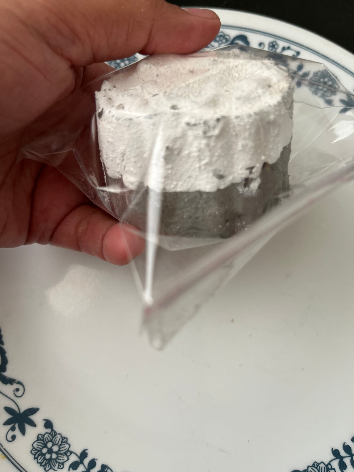 Galleta premier