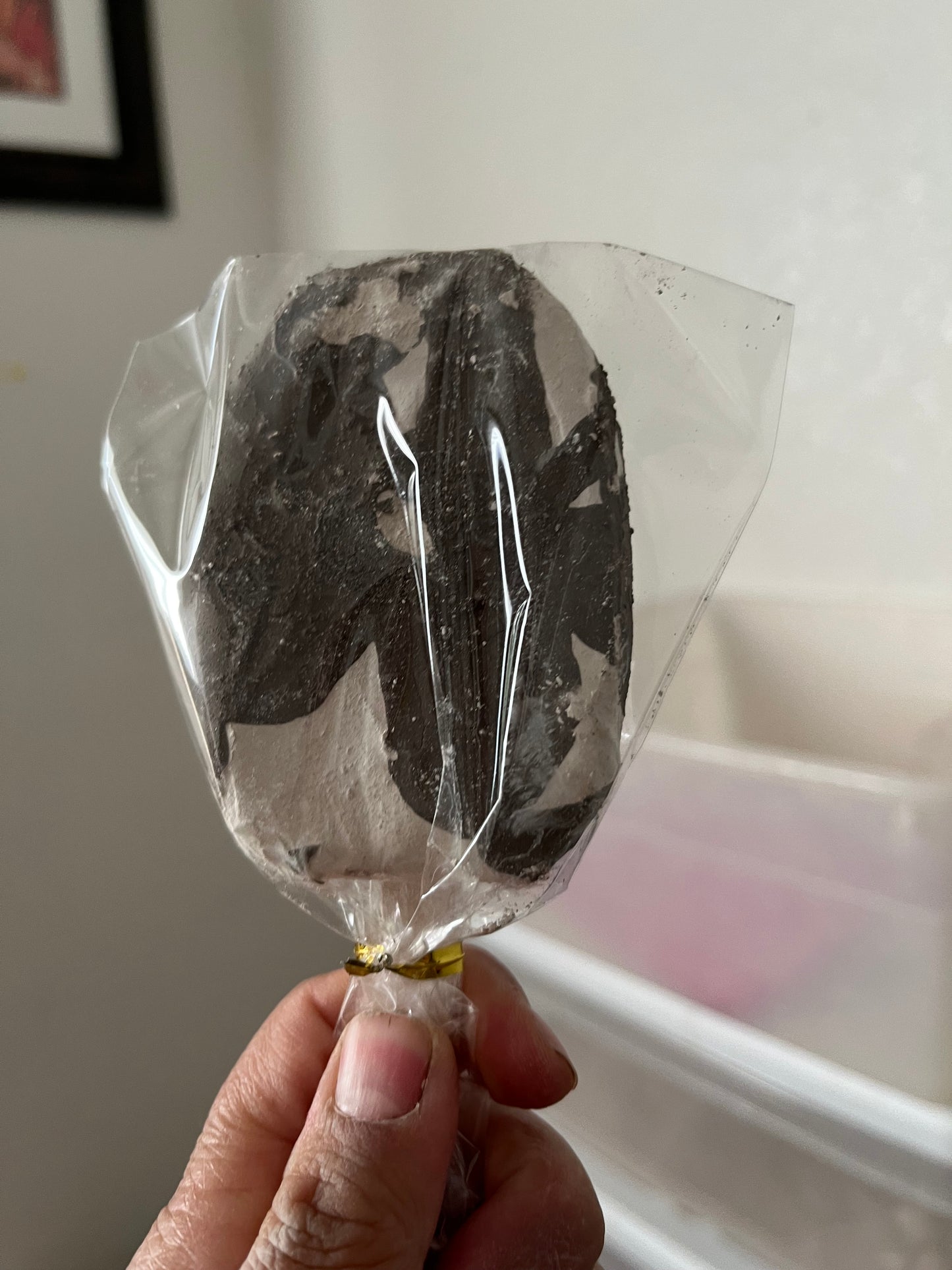 Paleta coco choco
