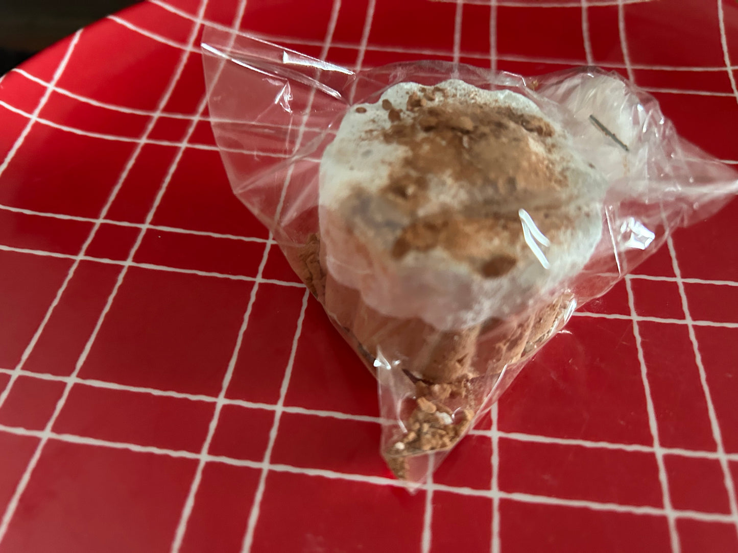 Galleta barro bañada de caolin